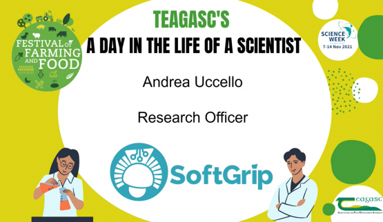 Softgrip A Day In The Life Thumbnail