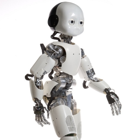 Image The iCub robot